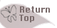 Return Top